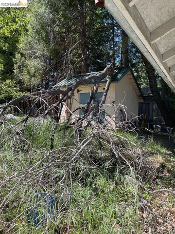 18730 Broadhurst Dr., Twain Harte, CA 95383