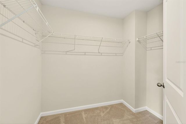 35206 BRIENNE STREET, Zephyrhills, FL 33541