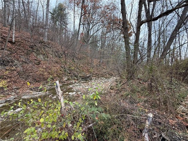 4895 Purdy Creek Road, Hartsville, NY 14843