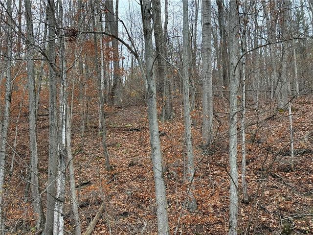 4895 Purdy Creek Road, Hartsville, NY 14843