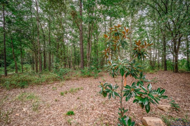 12103 S IH20 Service Rd W, Hallsville, TX 75650