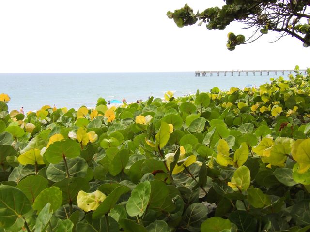 206 Mainsail Circle, Jupiter, FL 33477