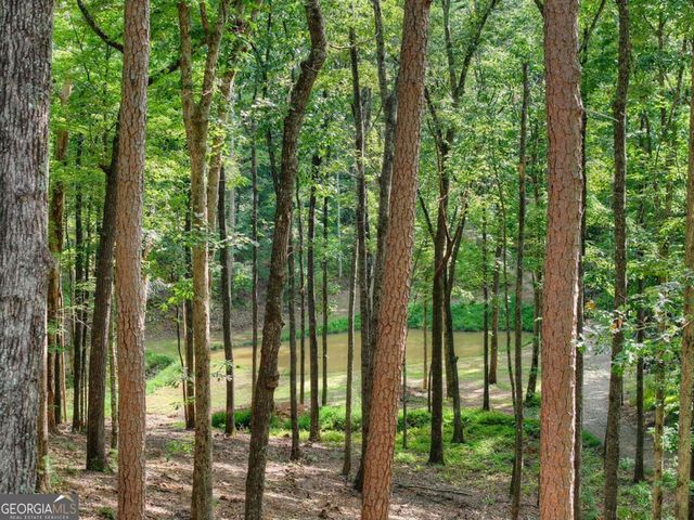 412 Mountain Tops Circle, Blue Ridge, GA 30513