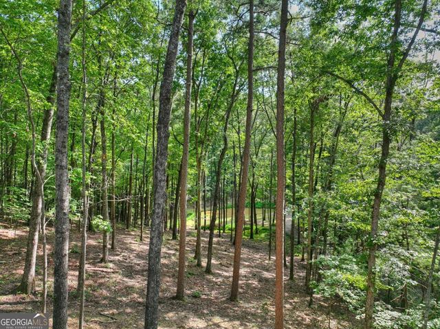 412 Mountain Tops Circle, Blue Ridge, GA 30513
