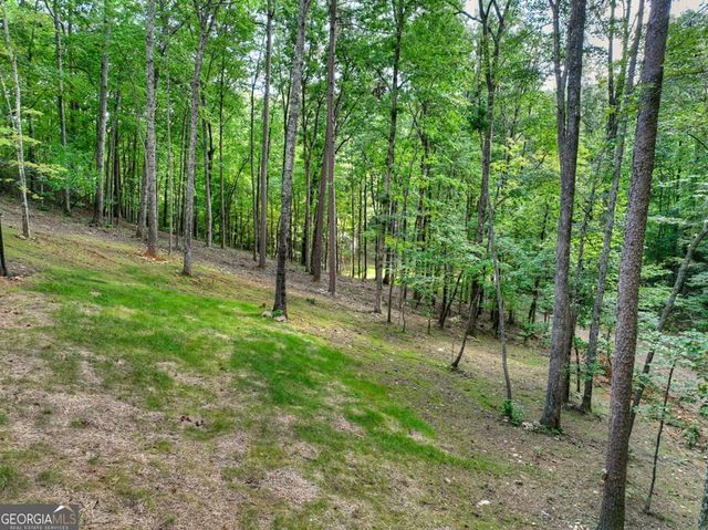 412 Mountain Tops Circle, Blue Ridge, GA 30513