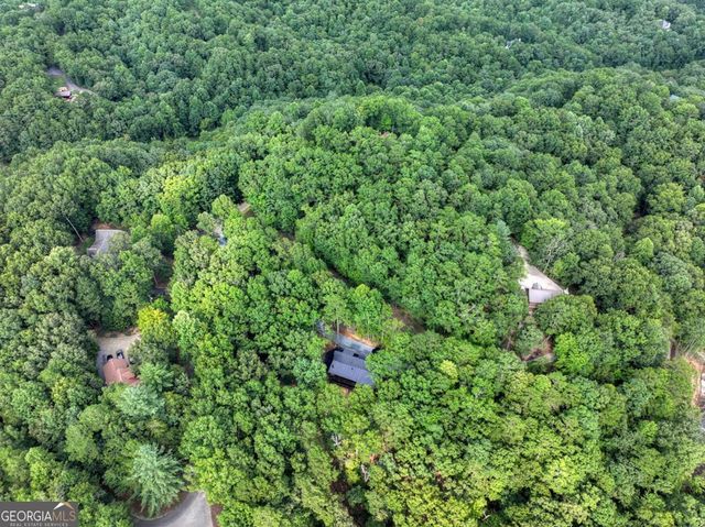 412 Mountain Tops Circle, Blue Ridge, GA 30513