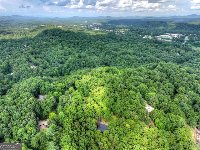 412 Mountain Tops Circle, Blue Ridge, GA 30513