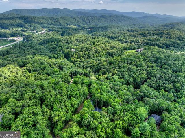 412 Mountain Tops Circle, Blue Ridge, GA 30513