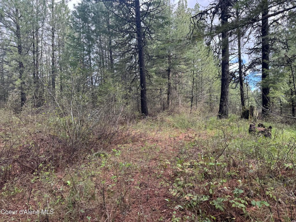 NKA Old Railroad Grade, Plummer, ID 83851