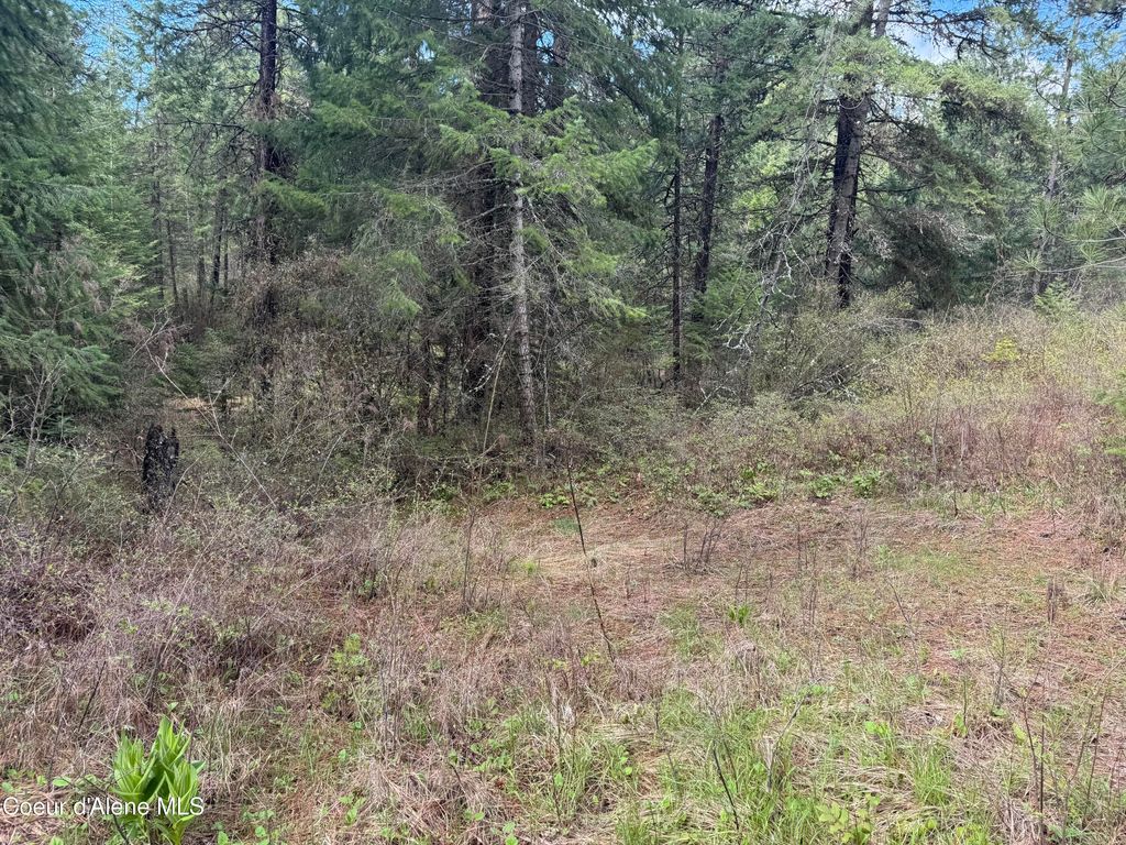NKA Old Railroad Grade, Plummer, ID 83851 photo 2
