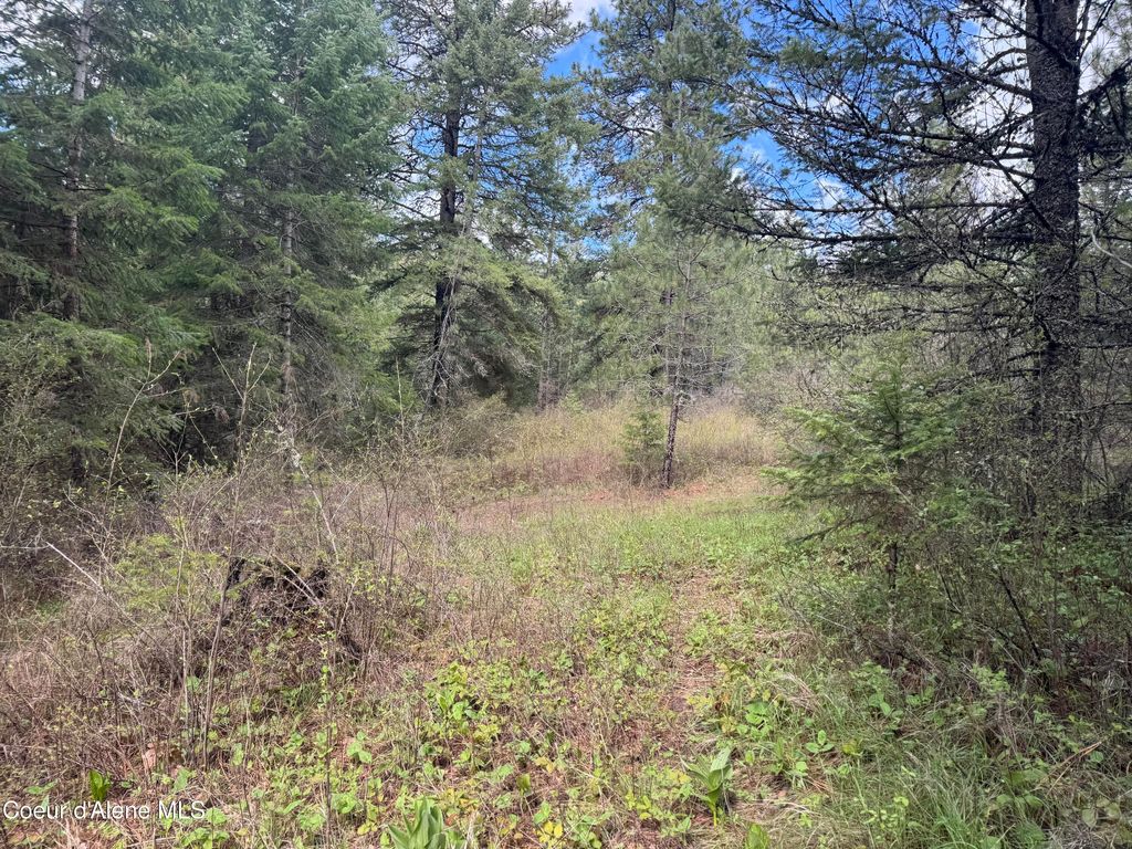 NKA Old Railroad Grade, Plummer, ID 83851 photo 3