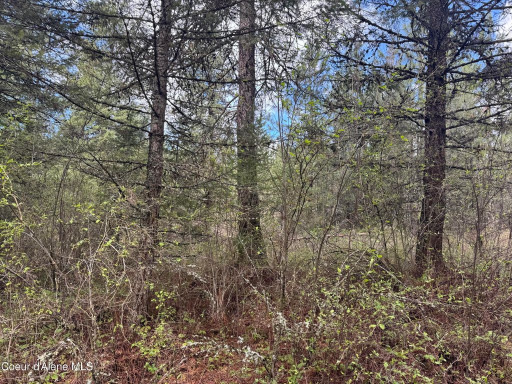 NKA Old Railroad Grade, Plummer, ID 83851 photo 4
