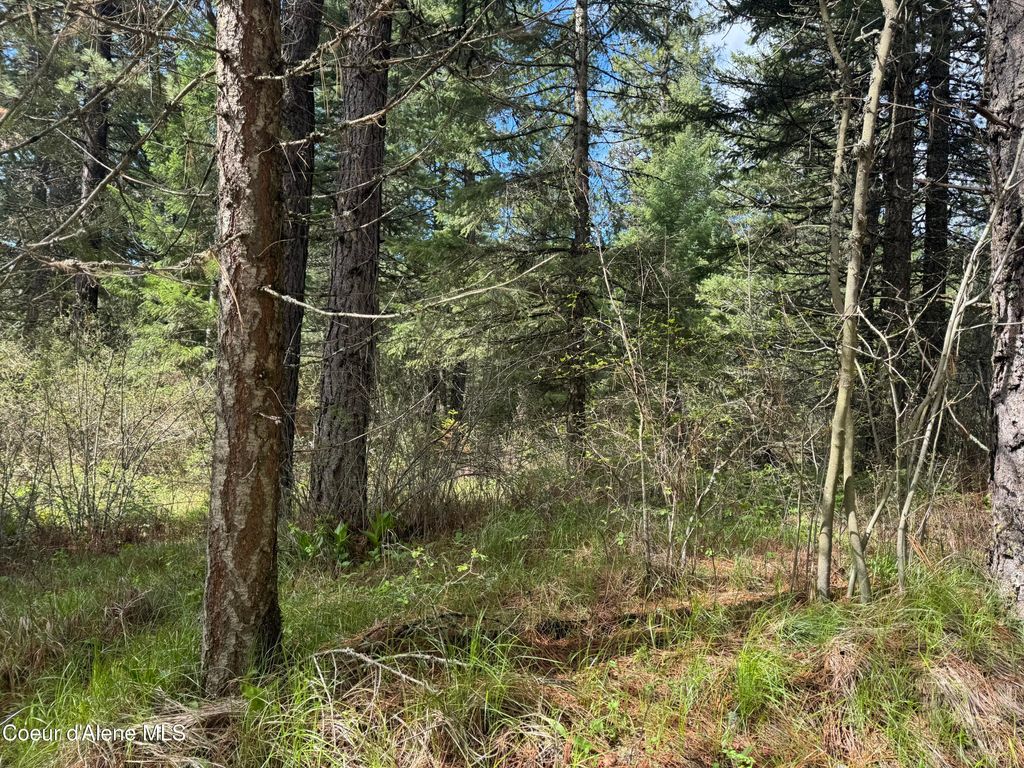 NKA Old Railroad Grade, Plummer, ID 83851 photo 5