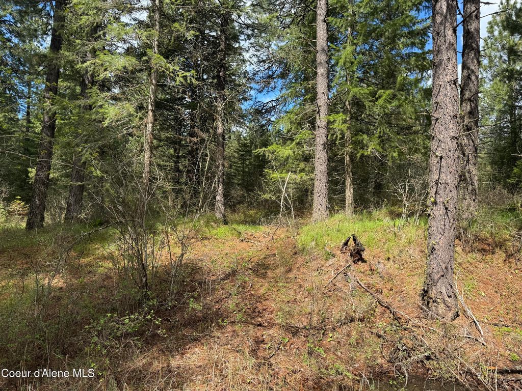 NKA Old Railroad Grade, Plummer, ID 83851 photo 6