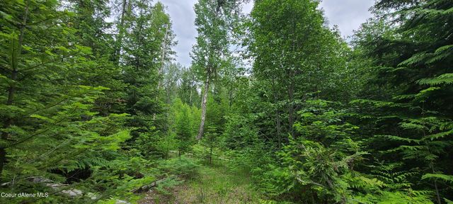 NNA W Gold Creek Ridge Rd, Sandpoint, ID 83864