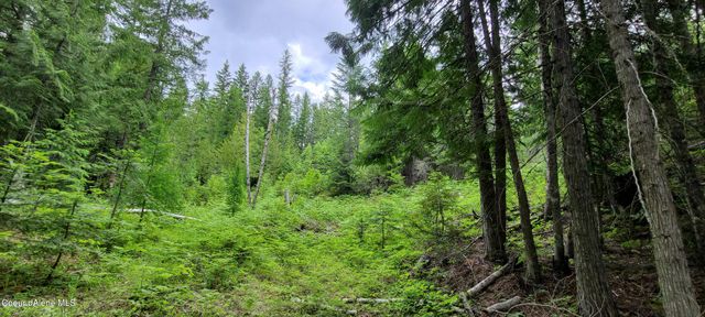 NNA W Gold Creek Ridge Rd, Sandpoint, ID 83864