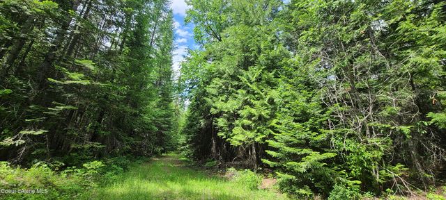 NNA W Gold Creek Ridge Rd, Sandpoint, ID 83864
