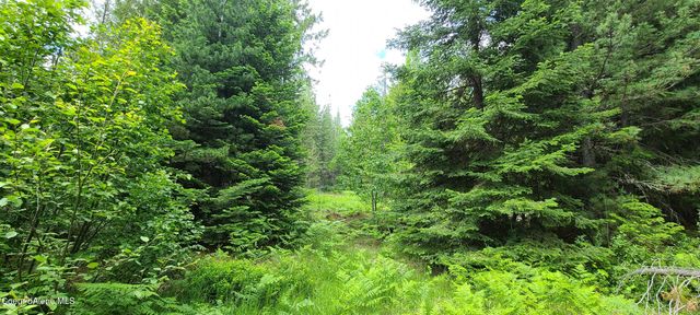 NNA W Gold Creek Ridge Rd, Sandpoint, ID 83864