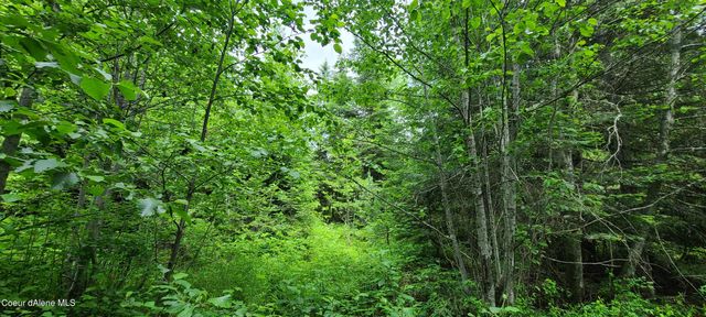 NNA W Gold Creek Ridge Rd, Sandpoint, ID 83864