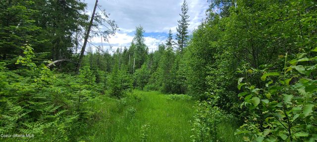 NNA W Gold Creek Ridge Rd, Sandpoint, ID 83864