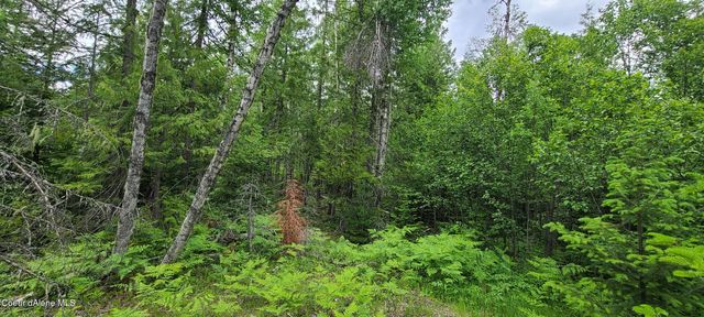 NNA W Gold Creek Ridge Rd, Sandpoint, ID 83864