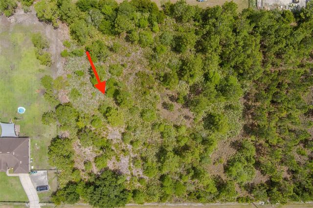 NETTLETON STREET, Orlando, FL 32833
