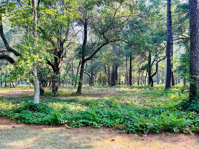 834 Blue Gill Court SE, Bolivia, NC 28422