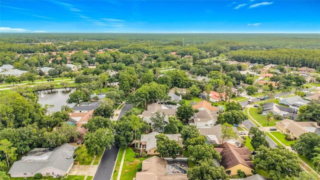 3097 EDGEMOOR DRIVE, Palm Harbor, FL 34685