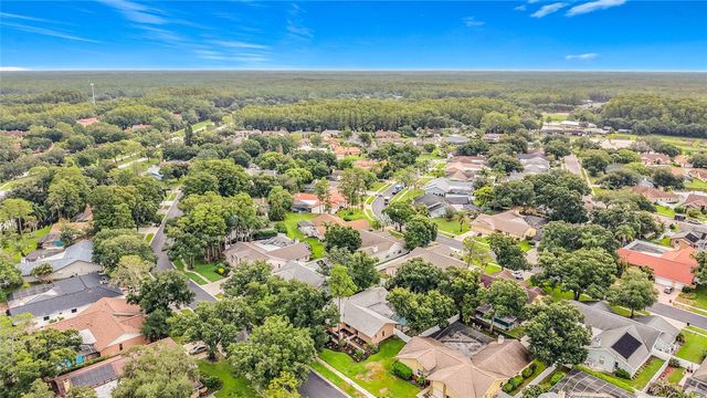 3097 EDGEMOOR DRIVE, Palm Harbor, FL 34685