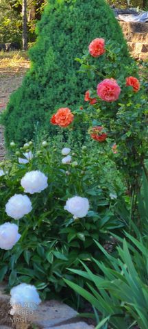 1144 Boole Rd, Applegate, CA 95703