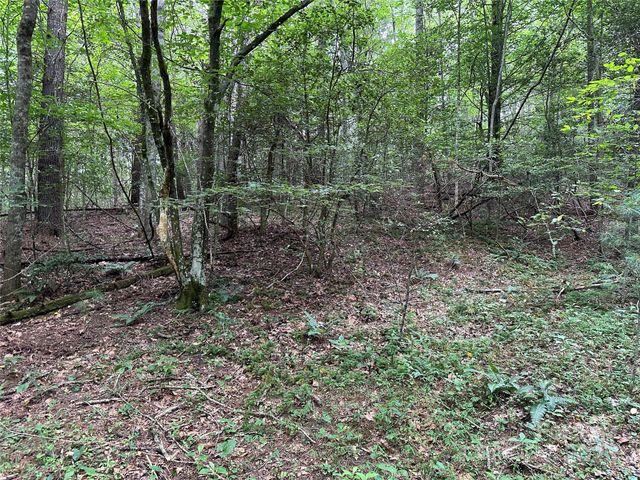 00 Benny Parsons Road, Millers Creek, NC 28651