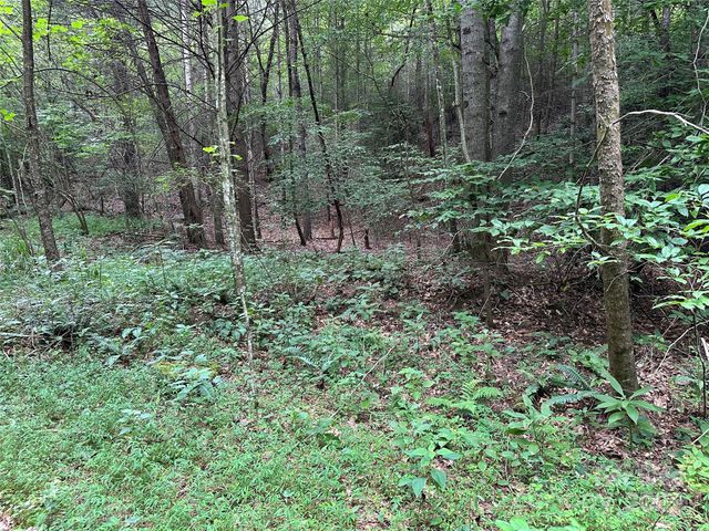 00 Benny Parsons Road, Millers Creek, NC 28651