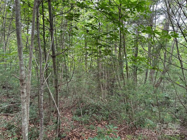 00 Benny Parsons Road, Millers Creek, NC 28651