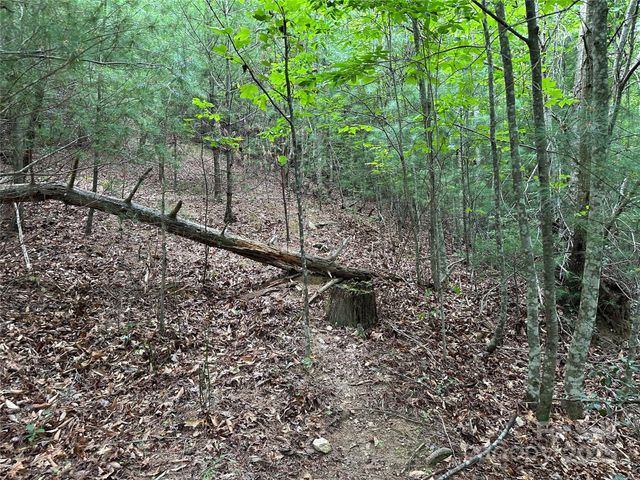00 Benny Parsons Road, Millers Creek, NC 28651
