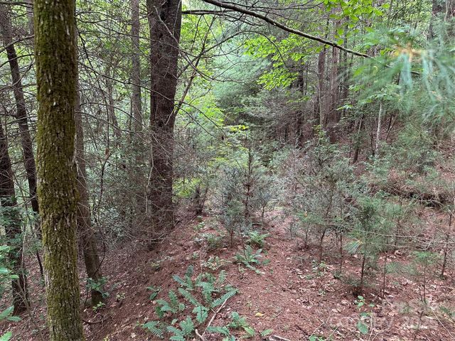 00 Benny Parsons Road, Millers Creek, NC 28651