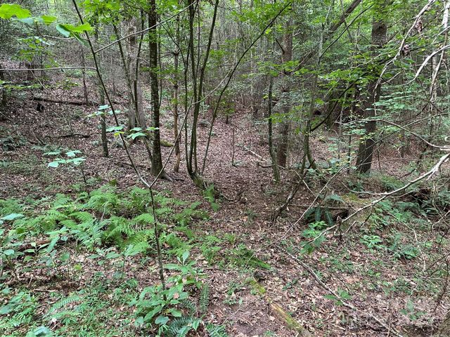 00 Benny Parsons Road, Millers Creek, NC 28651
