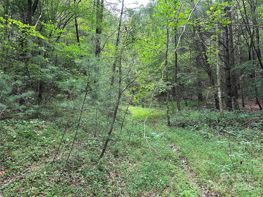 00 Benny Parsons Road, Millers Creek, NC 28651