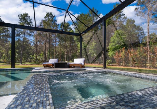 15210 PENDIO DRIVE, Montverde, FL 34756