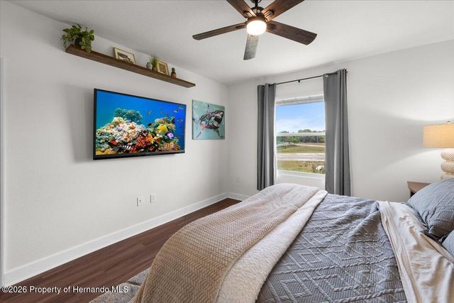 32419 Turtle Grace Loop, Wesley Chapel, FL 33545