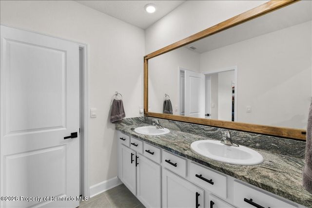 32419 Turtle Grace Loop, Wesley Chapel, FL 33545