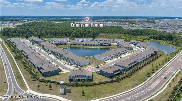 32419 Turtle Grace Loop, Wesley Chapel, FL 33545