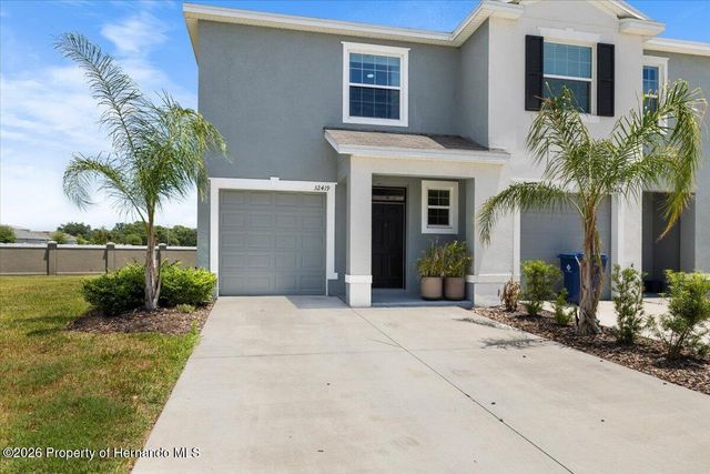 32419 Turtle Grace Loop, Wesley Chapel, FL 33545
