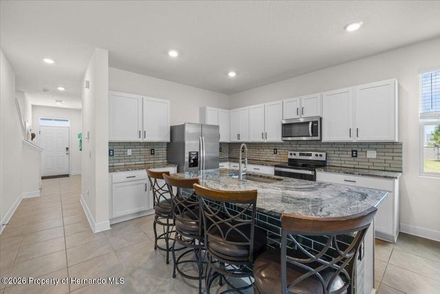 32419 Turtle Grace Loop, Wesley Chapel, FL 33545