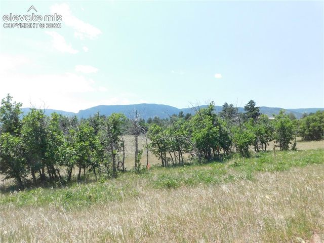 5980 Country Club Drive, Larkspur, CO 80118