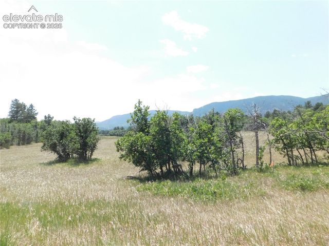5980 Country Club Drive, Larkspur, CO 80118