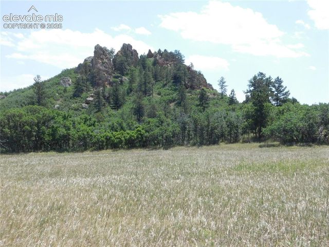 5980 Country Club Drive, Larkspur, CO 80118