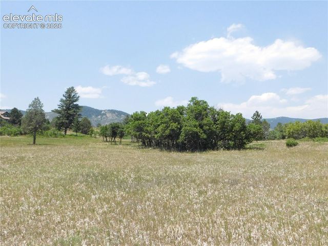 5980 Country Club Drive, Larkspur, CO 80118