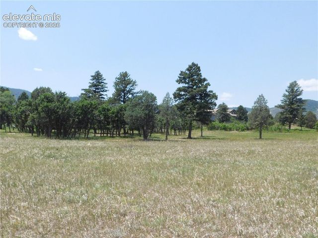 5980 Country Club Drive, Larkspur, CO 80118
