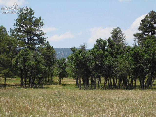 5980 Country Club Drive, Larkspur, CO 80118