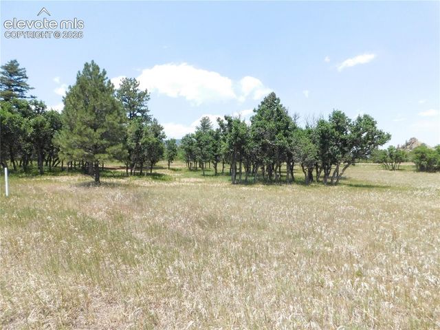 5980 Country Club Drive, Larkspur, CO 80118